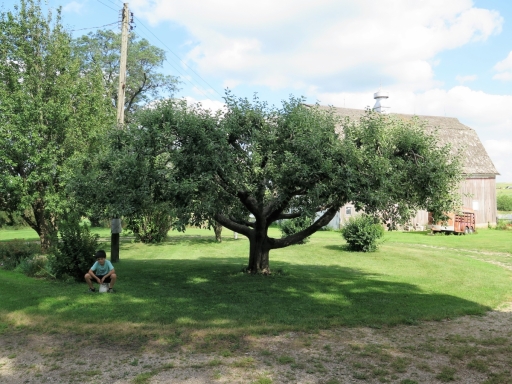 IMG_5300 (2)