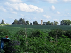 IMG_5312 (2)