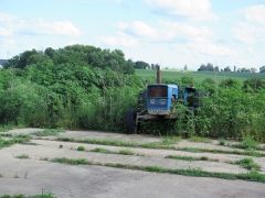 IMG_5313 (2)