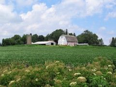 IMG_5567 (2)