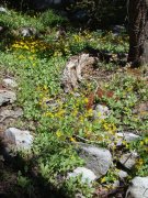 South-Lake-to-Marie-Louise-Lakes-hike-09