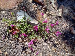 South-Lake-to-Marie-Louise-Lakes-hike-11