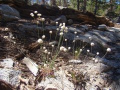 South-Lake-to-Marie-Louise-Lakes-hike-21