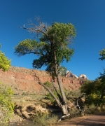 Southwest-Canyons-Trip-02
