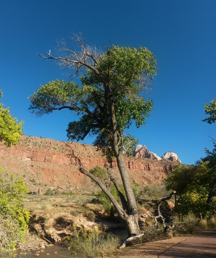 Southwest-Canyons-Trip-02