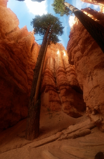 Southwest-Canyons-Trip-16
