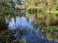 Baker-Lake-near-New-Meadows-101