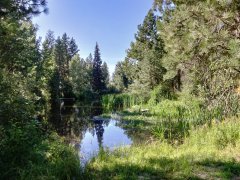 Baker-Lake-near-New-Meadows-102