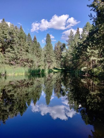 Baker-Lake-near-New-Meadows-103