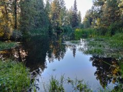 Baker-Lake-near-New-Meadows-107