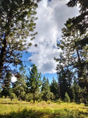 Bear-Basin-Hike-101