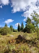 Bear-Basin-Hike-102