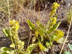 Bear-Basin-Hike-104