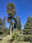 Bear-Basin-Hike-105