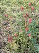 Bear-Basin-Hike-112