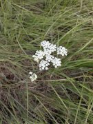 Bear-Basin-Hike-113