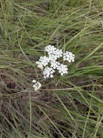 Bear-Basin-Hike-113