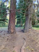 Bear-Basin-Hike-114