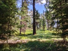 Southwest Idaho Mountains