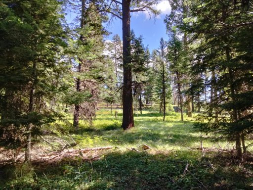 Bear-Basin-Hike-115