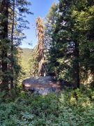 Goose-Creek-Falls-Hike-102