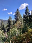 Goose-Creek-Falls-Hike-104