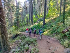 Goose-Creek-Falls-Hike-105