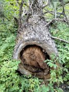 Goose-Creek-Falls-Hike-106