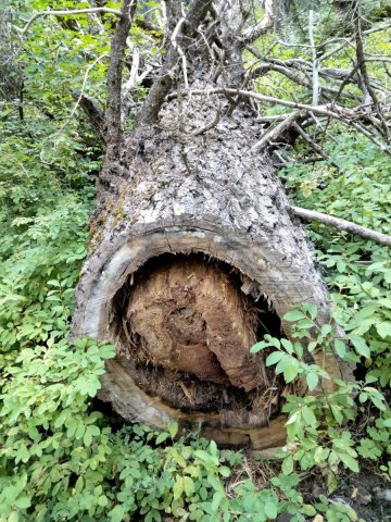 Goose-Creek-Falls-Hike-106