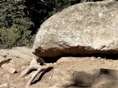 Goose-Creek-Falls-Hike-115