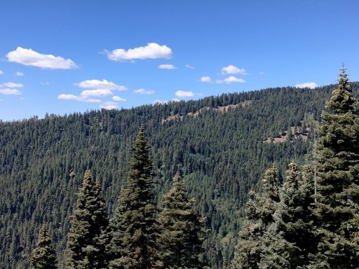 Goose-Creek-Falls-Hike-116