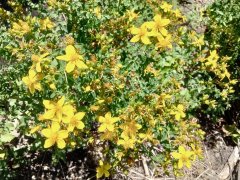 Goose-Creek-Falls-Hike-117