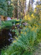 Idaho-Scenes-112