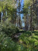Idaho-Scenes-113