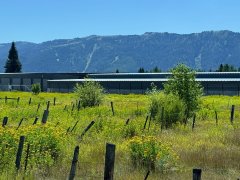 Idaho-Scenes-114