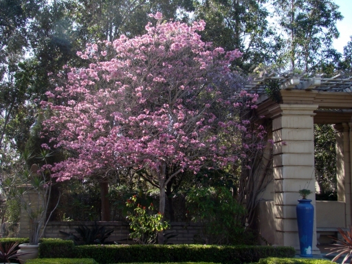 Springtime-in-Balboa-Park-16