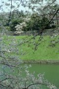 Springtime-in-Japan-29-Tokyo-Imperial-Palace