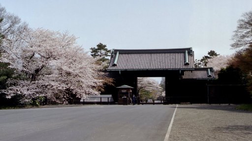 Springtime-in-Japan-32-Tokyo-Imperial-Palace