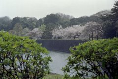 Springtime-in-Japan-35-Tokyo-Imperial-Palace