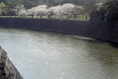 Springtime-in-Japan-36-Tokyo-Imperial-Palace