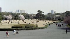 Springtime-in-Japan-37-Tokyo-Imperial-Palace