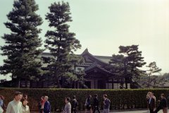 Springtime-in-Japan-40-Tokyo-Imperial-Palace