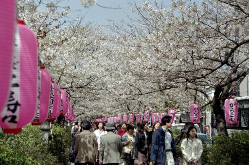 Springtime-in-Japan-44-Kamakura