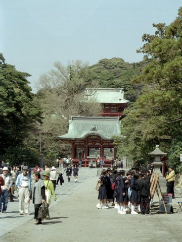Springtime-in-Japan-47-Kamakura
