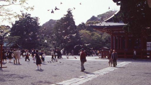 Springtime-in-Japan-51-Kamakura
