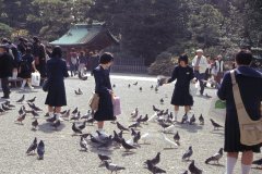 Springtime-in-Japan-52-Kamakura