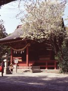Springtime-in-Japan-53-Kamakura
