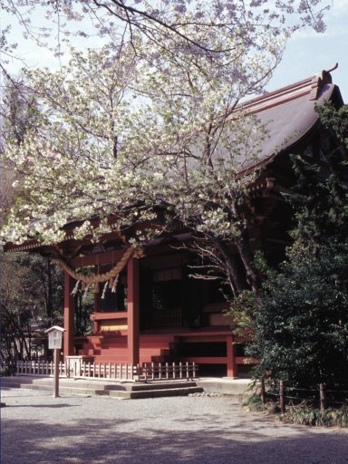 Springtime-in-Japan-54-Kamakura