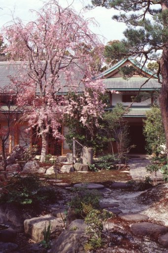 Springtime-in-Japan-59-Kamakura