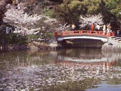 Springtime-in-Japan-62-Kamakura-4x3